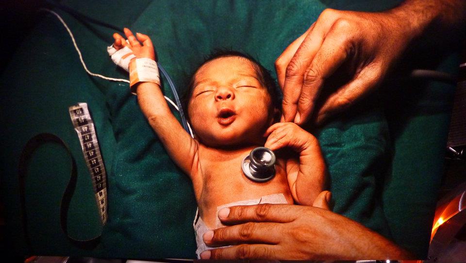 pediatria mc curry andrea silenai